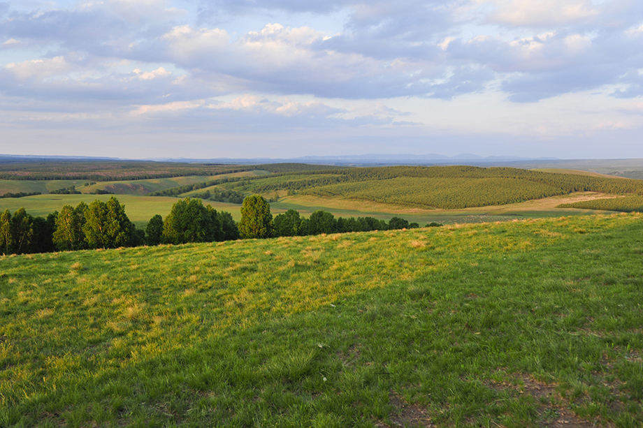 _DSC7221.JPG