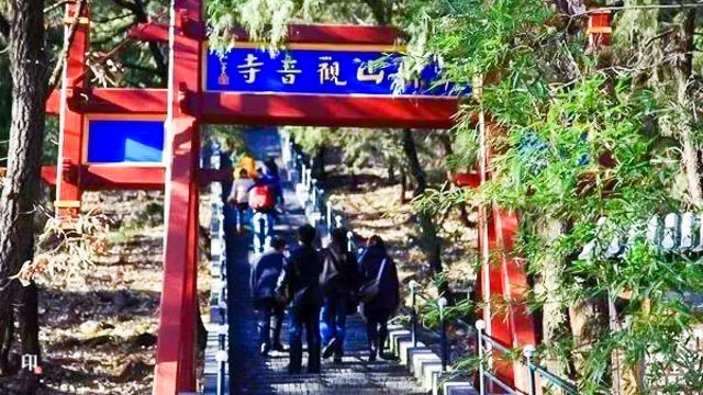 ad00737946774297abb298a01b03970b.jpg