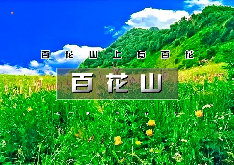 印象头图模版D.jpg