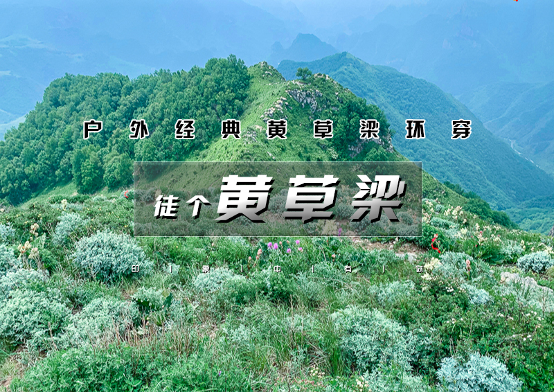 ▌ 印象头图.jpg