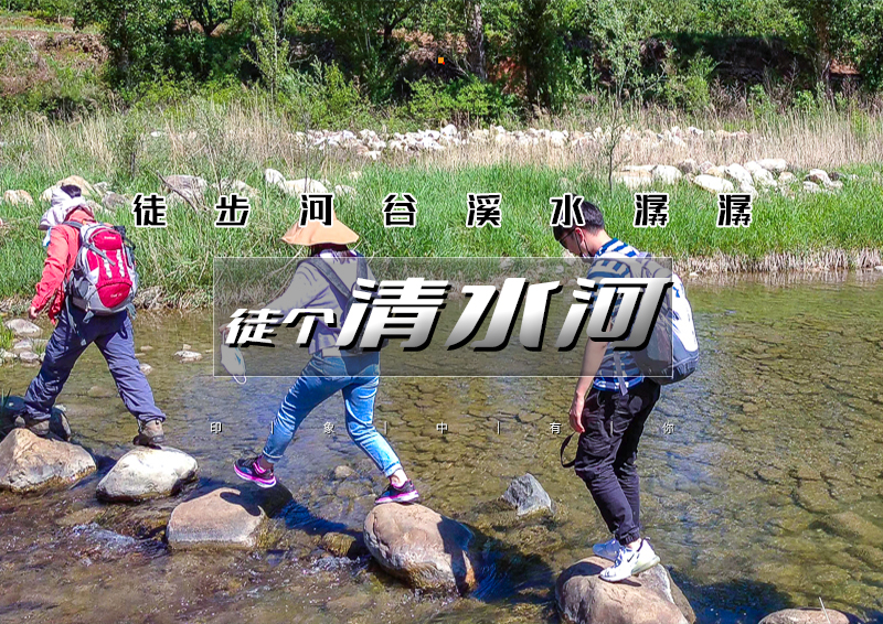 ▌▌印象头图.jpg