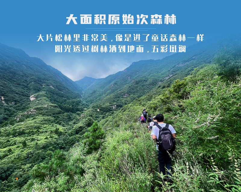 ★印象细图A2.jpg