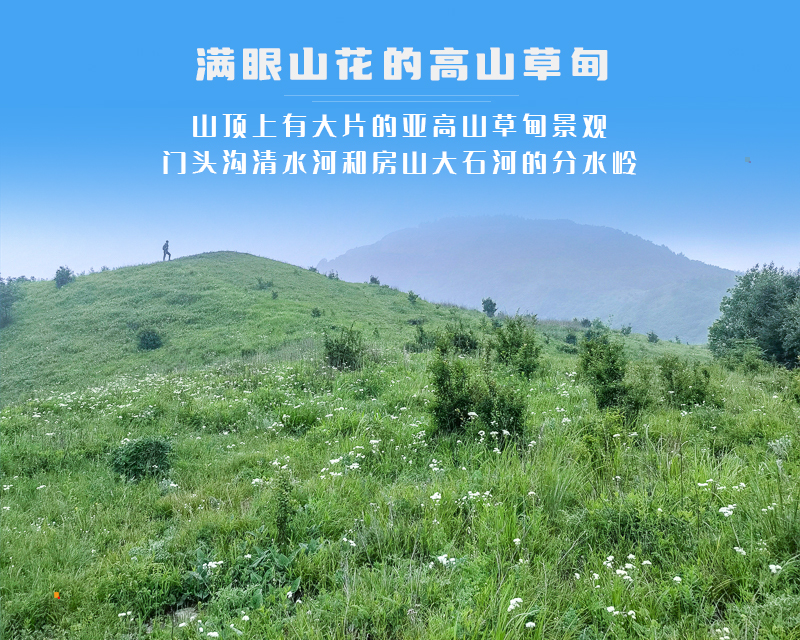 ★印象细图A1.jpg