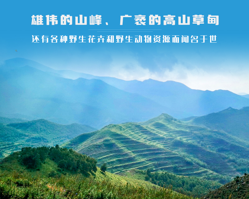 ★印象细图A4.jpg
