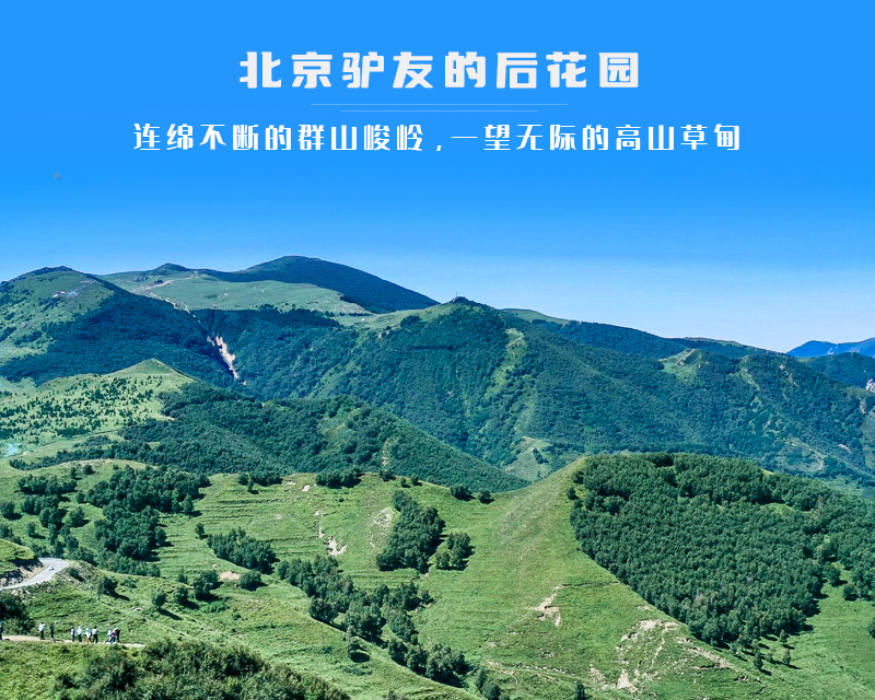 ★印象细图A1.jpg