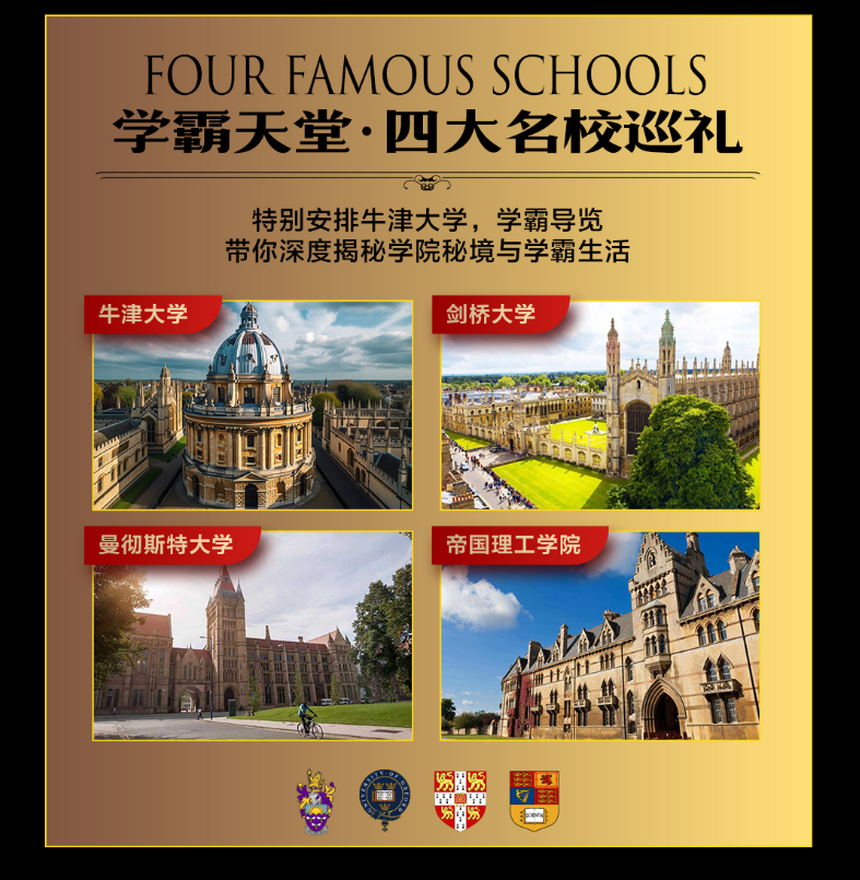 1741167380254.png