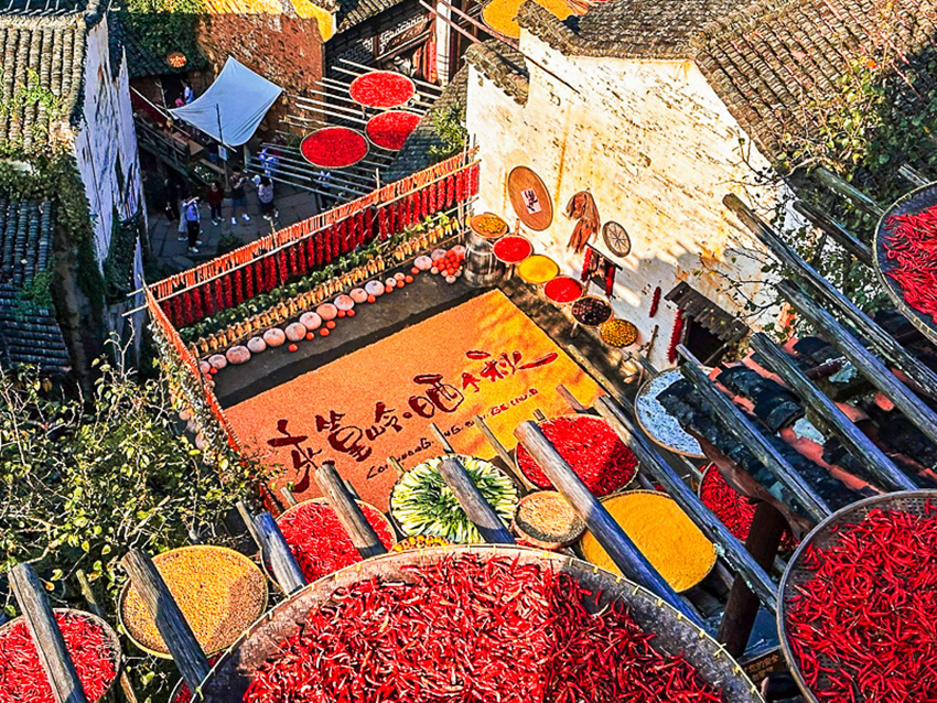 1760493300868811.jpg 篁岭 (2).jpg