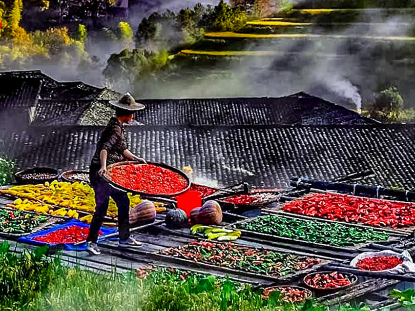 1760493440979704.jpg 篁岭晒秋 (1).jpg