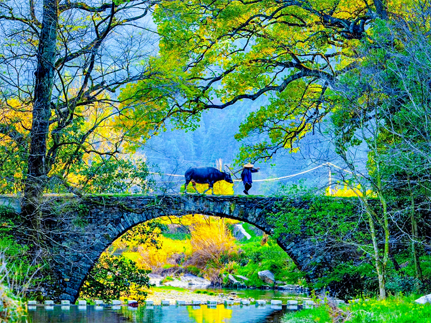 1760494200236674.jpg 199df88d0ff.jpg