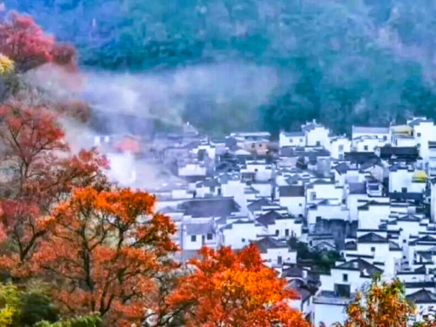 1760499940278415.jpg 长溪 (6).jpg