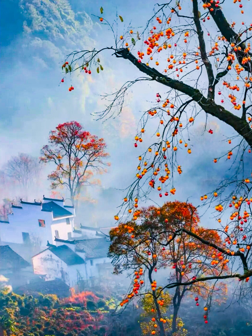 1760500768638333.jpg 石城 (8).jpg