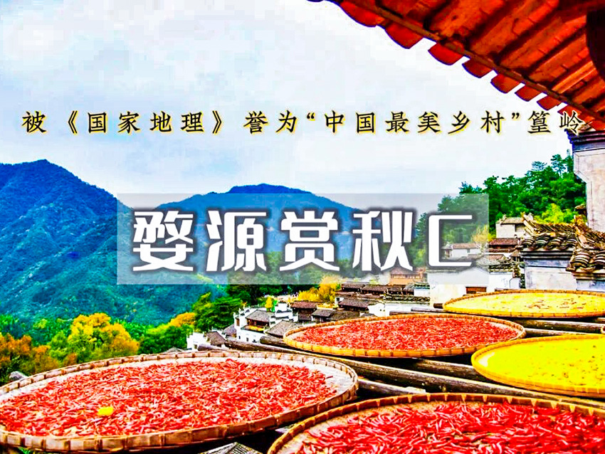 1760502947792645.jpg 封面.jpg