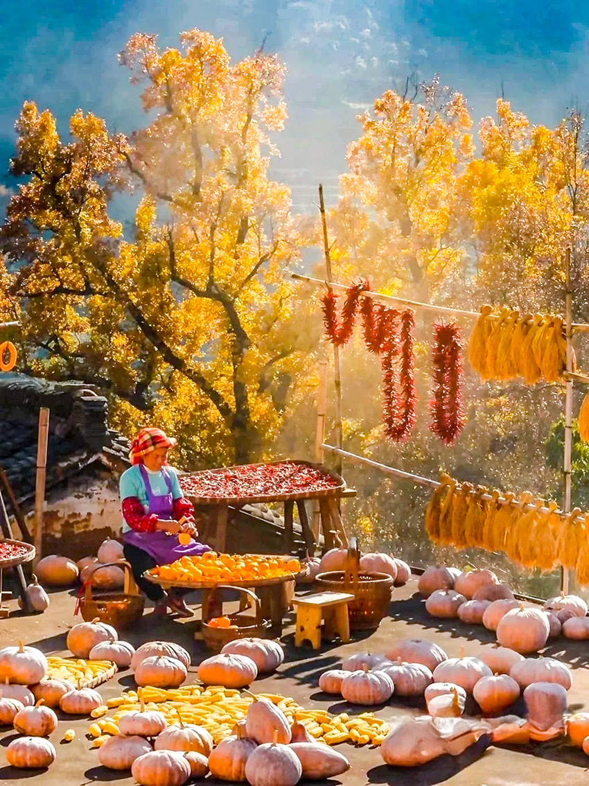 1760503244246313.jpg 篁岭 (6).jpg