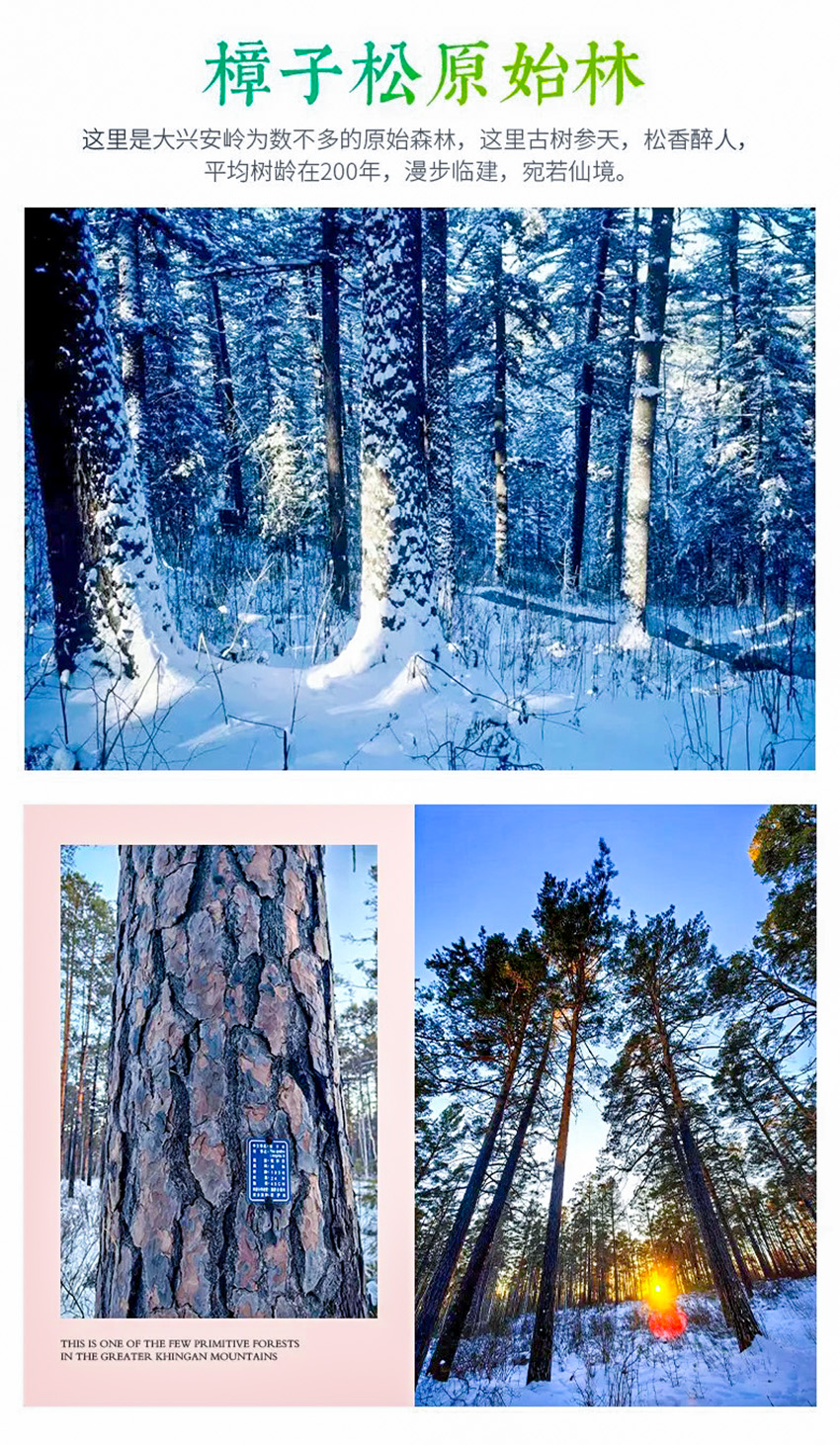 1760581505134151.jpg edbc16064a59d6a200cfe20c62e88b2b-sz_1065187.jpg