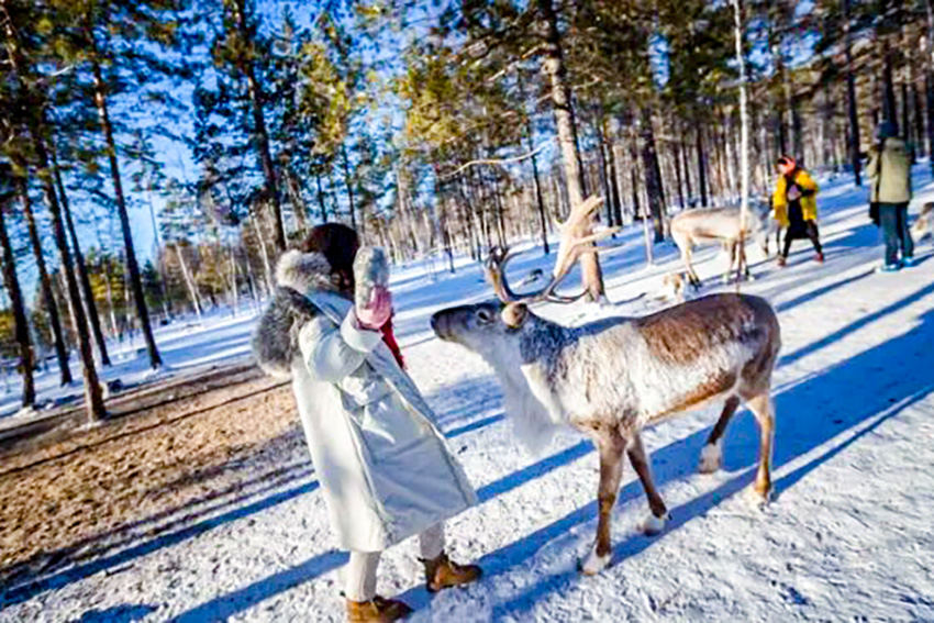 1760631223138829.jpg e025d05790d5f479c6bc9c2dde8f07cd-sz_766215.jpg