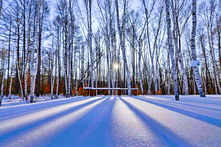 1760631261147426.jpg 微信图片_20251016154302_161_2.jpg