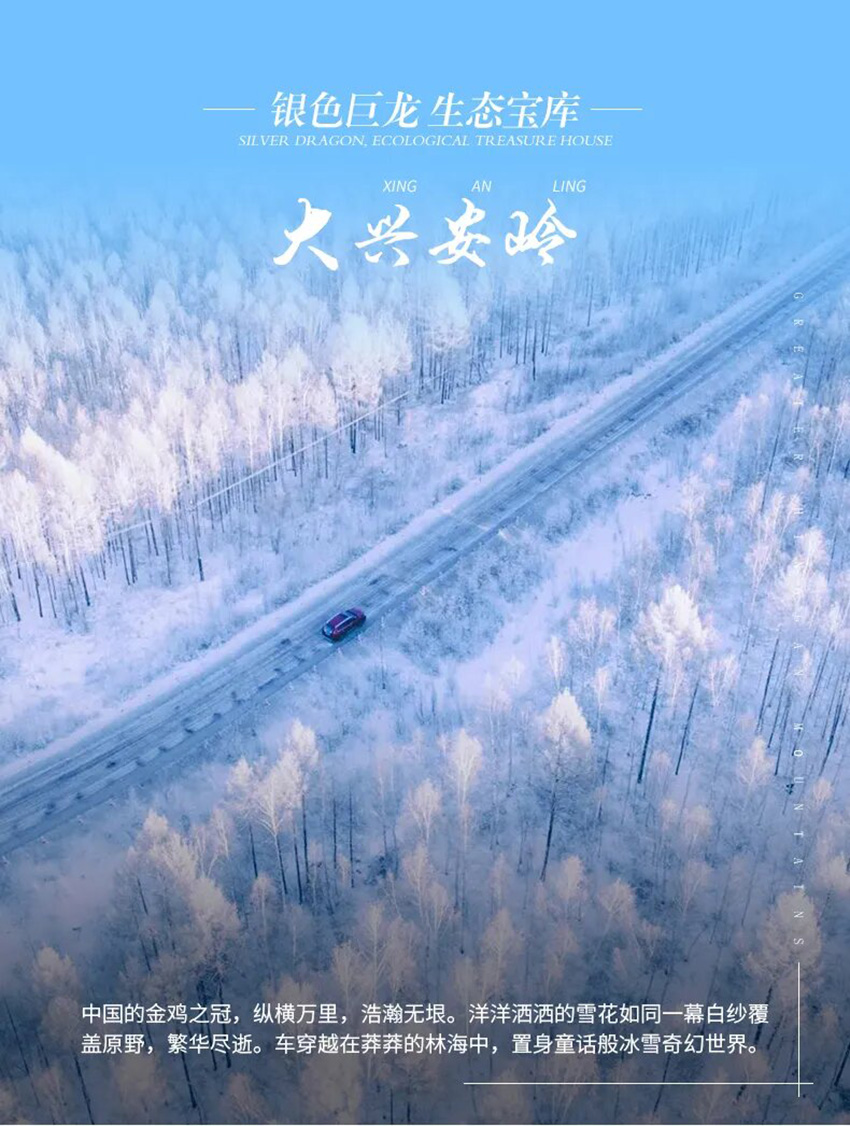 1760631398232801.jpg d586d2c3df775149e202d4257e3e5bee-sz_595548.jpg