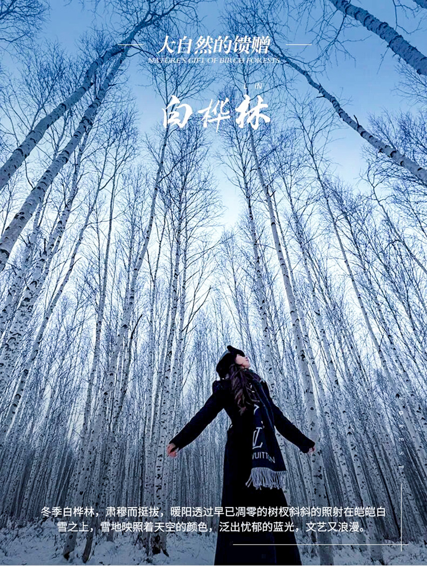 1760631425846521.jpg aeb3c305e78907f6c8c22977f6bb193e-sz_962080.jpg