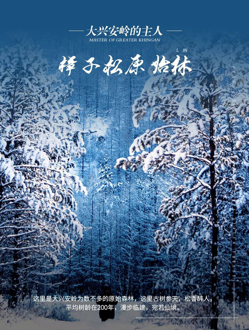 1760631434843422.jpg e7d1c7c463b7eae8af5a2cc4a71c7d48-sz_1066410.jpg