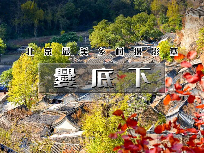 1761215978715575.jpg 199996ffb2a.jpg