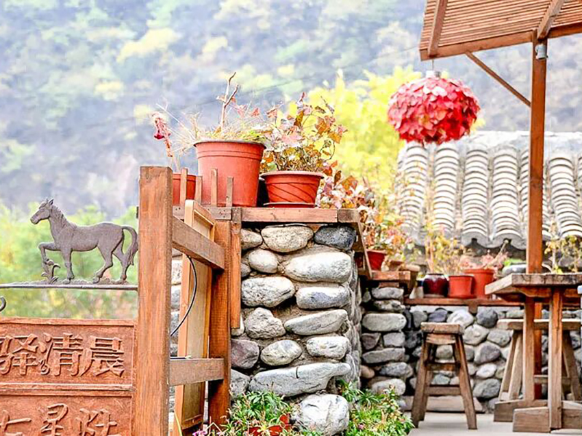 1761216409218257.jpg 1999970112b.jpg