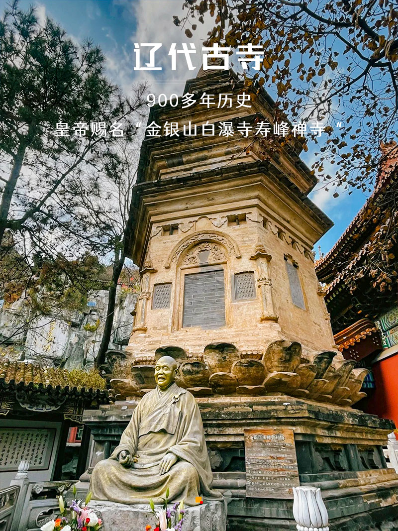 1763916731126255.jpg 19a8c4546275c36.jpg