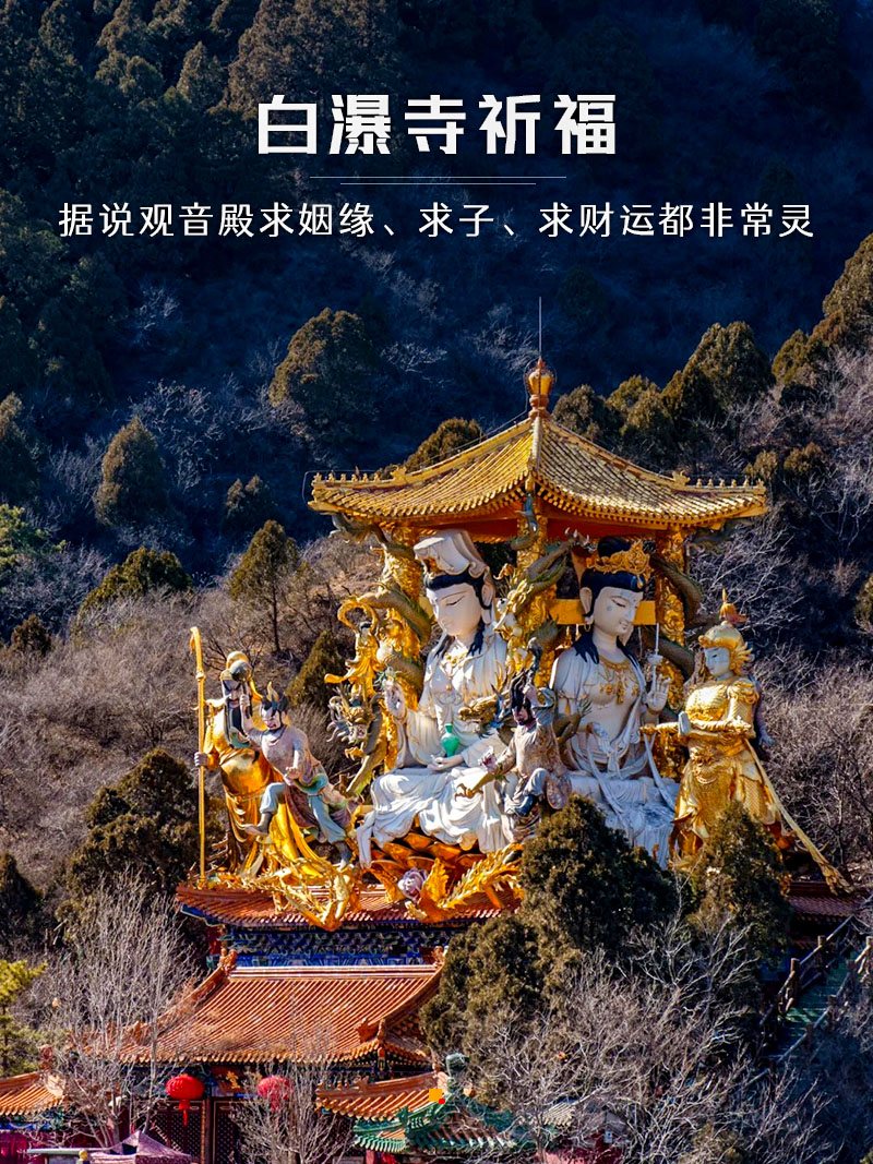 1763916736303331.jpg 19a8c45482ef8e6.jpg