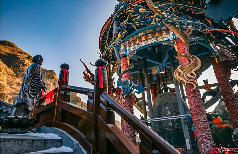 1763916761119550.jpg 19a8c454c212776.jpg