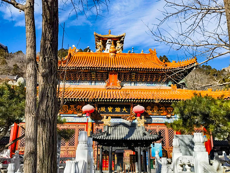 1763916763643755.jpg 19a8c454e1f1ec3.jpg