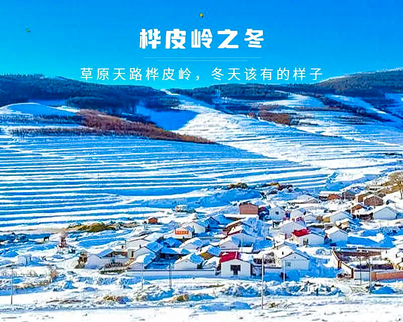 1763917301358153.jpg 19a439ce0d9.jpg