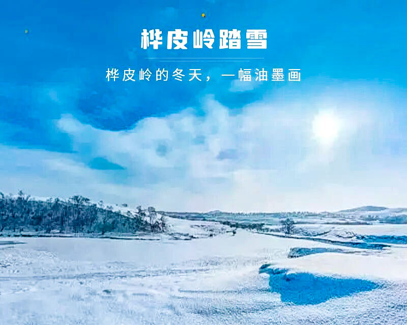 1763917312852115.jpg 19a439ce209.jpg