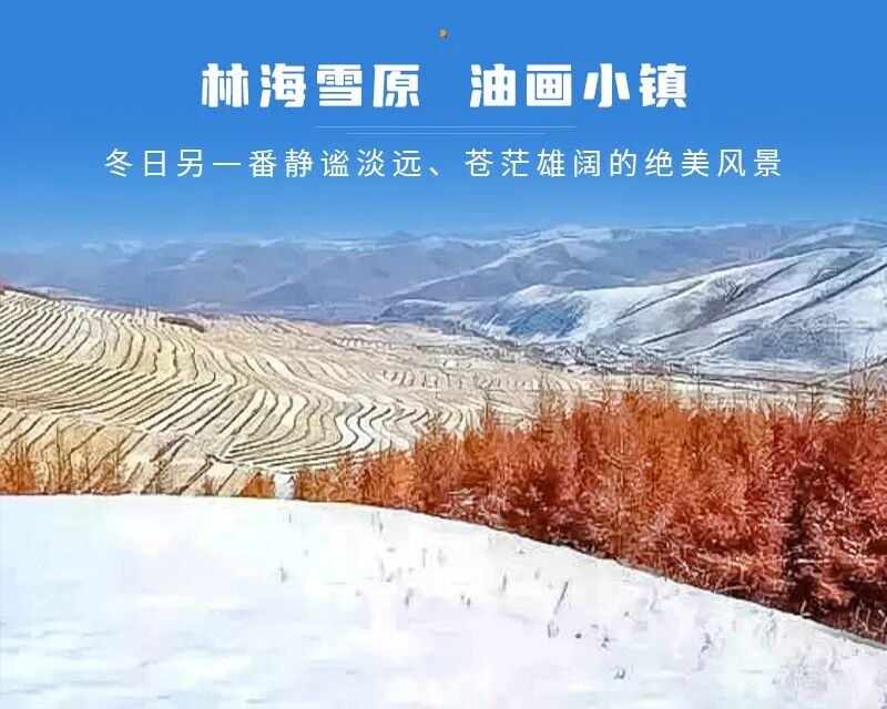 1763917318296919.jpg 19a439ce309.jpg