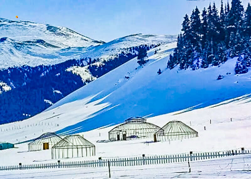 1763917331123965.jpg 19a439ceff5.jpg