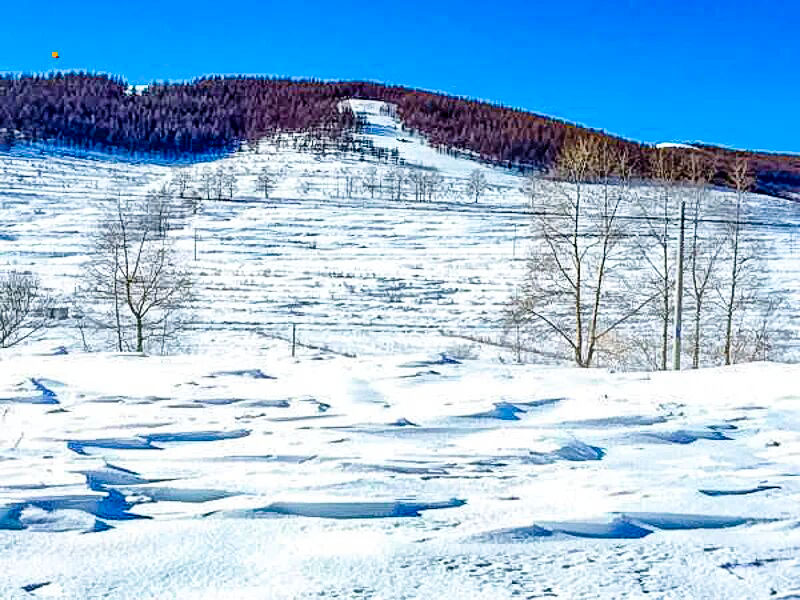 1763917338121203.jpg 19a439cf105.jpg