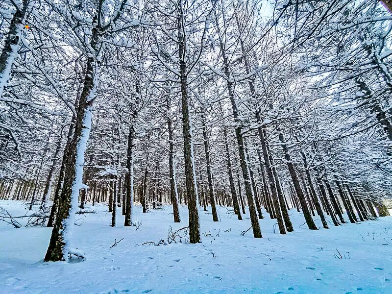 1763917374429112.jpg 19a439cf888.jpg