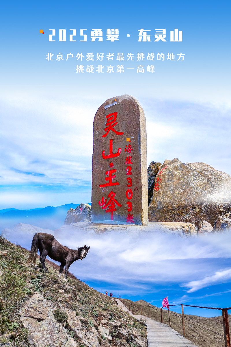 1763918357866617.jpg 19578f352b2.jpg