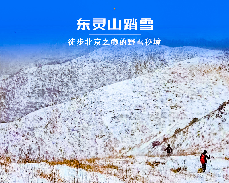 1763918380498910.jpg 19578f38cf2.jpg