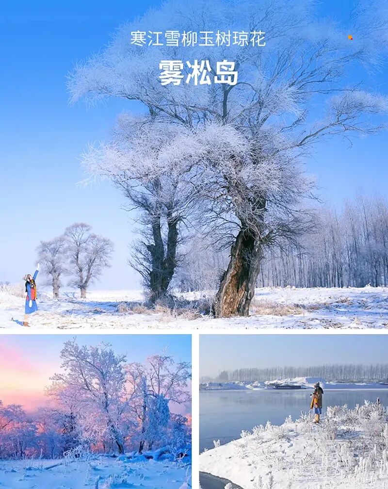 1763972924140830.jpg 19a95e48cccb1f8.jpg