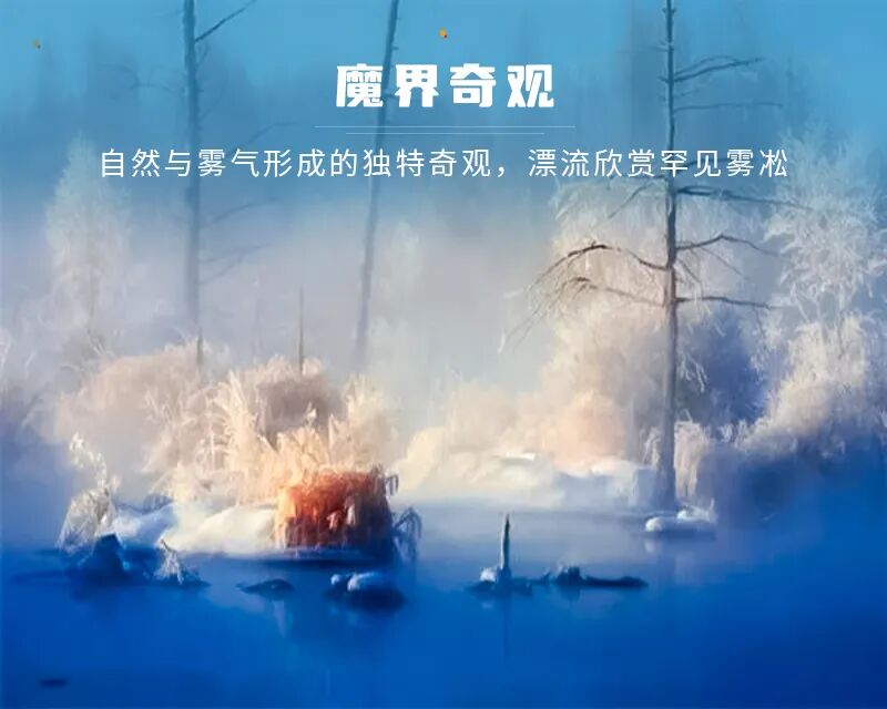 1763972932114585.jpg 19a95e48e0ed704.jpg