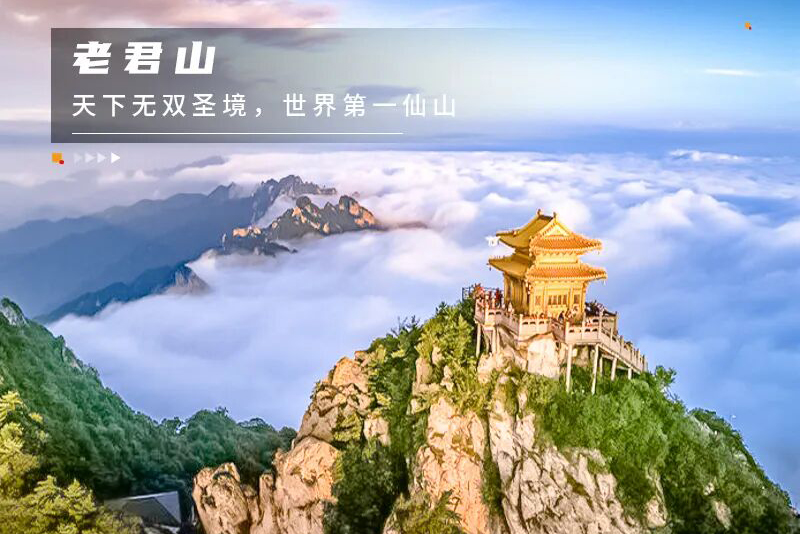 1763977746765535.jpg 19a95da2db3e2c4.jpg