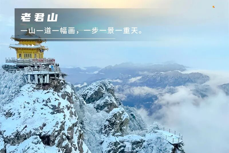 1763977753464183.jpg 19a95da2ef35216.jpg