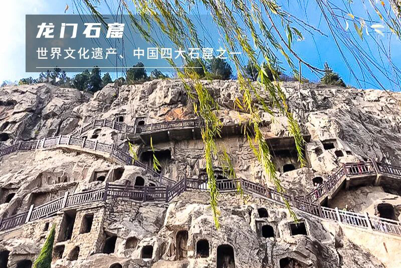 1763977791590482.jpg 19a95da315270ec.jpg